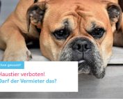 Haustier verboten