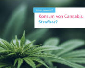 Cannabis - ist der Konsum strafbar?
