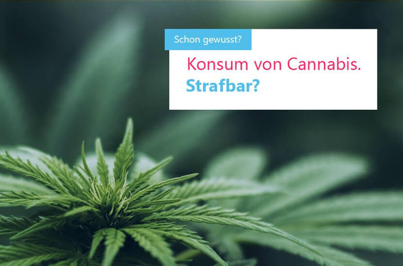 Cannabis - ist der Konsum strafbar?
